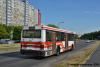 Ikarus 415