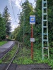 Nový Svět