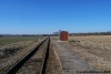 Zvratec