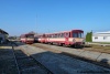 Bdtax785